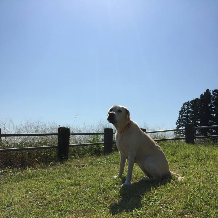 91baa529 0e1e 4183 a8cd 460cb7deb0c0 1568434711814