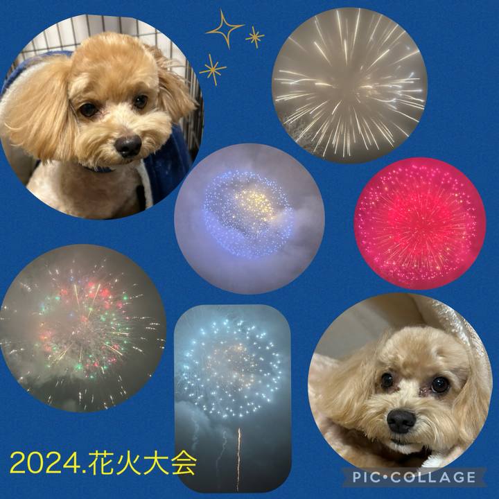 91bb0061 40e4 4287 a17a 2d1595e658f1 1728154165563