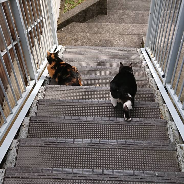 91bb71f0 055f 4fc0 832c e48d151bd66b 1581730451462