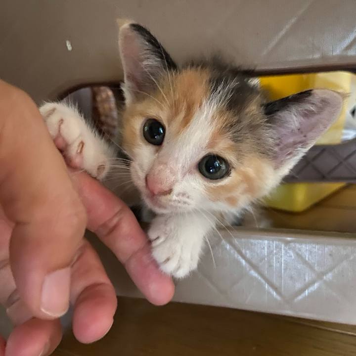 91bb8ea6 d04c 4f51 bad3 9e46aaa7be34 1628501866921