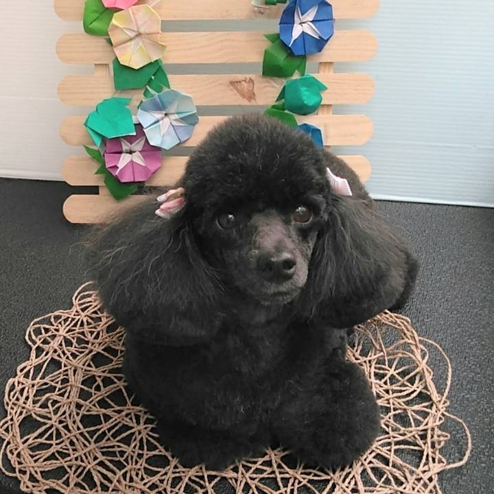 91bbcac0 2f4a 4e5b 8649 f8a38e7a7f40 1627449840746