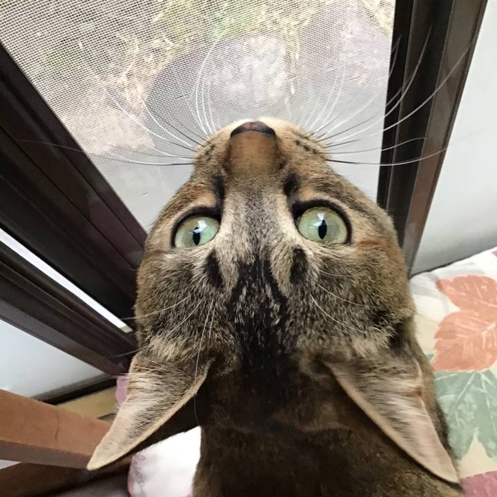 91bbecef 604a 4aa0 9f5f c299e263ccd1 1585723959523