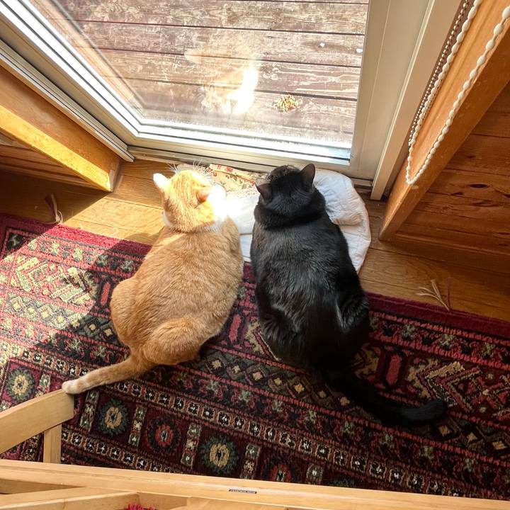 91bc3e22 5a5a 4a0c ad13 a6f13061cd33 1768187565738