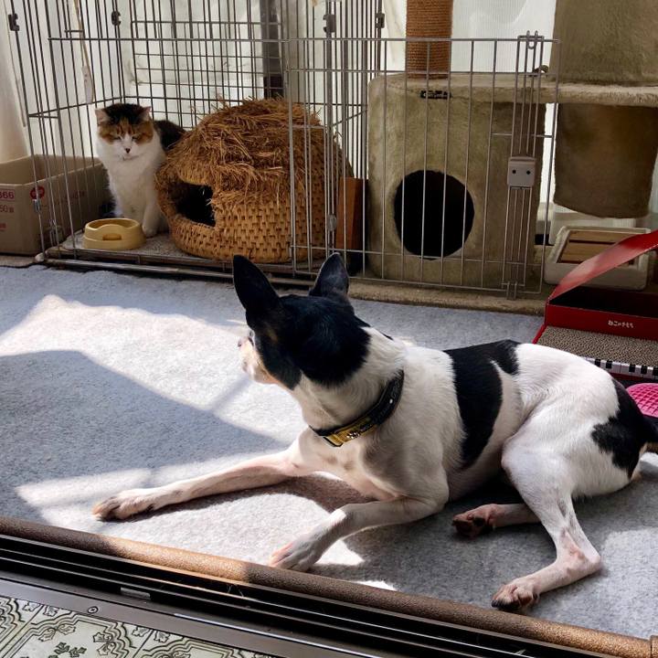 91bc48a5 6a2d 4162 9a7b 4ea7ae246d46 1556931406029