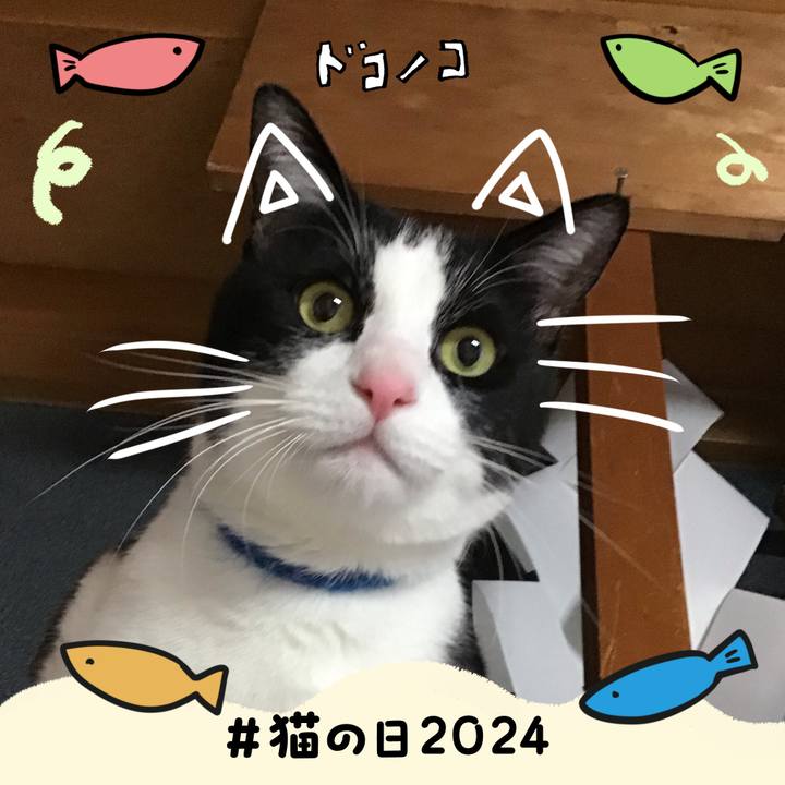 91bc71ba a6b3 4cea 8613 73644441091b 1708591016324