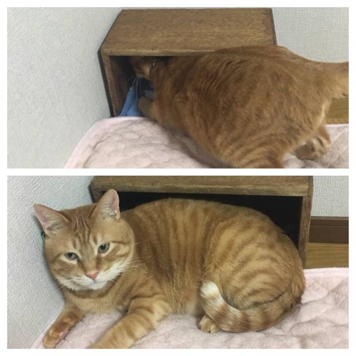 91bc949c 8059 4366 9fa0 eedde4bb1d33 1551192222243