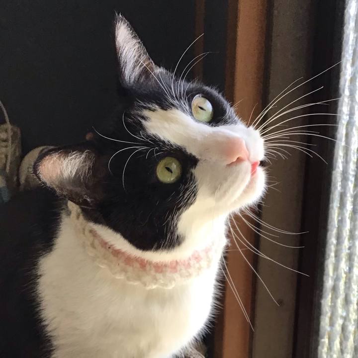 91bcb082 4170 4ee6 b535 dbb96293672b 1745226593377