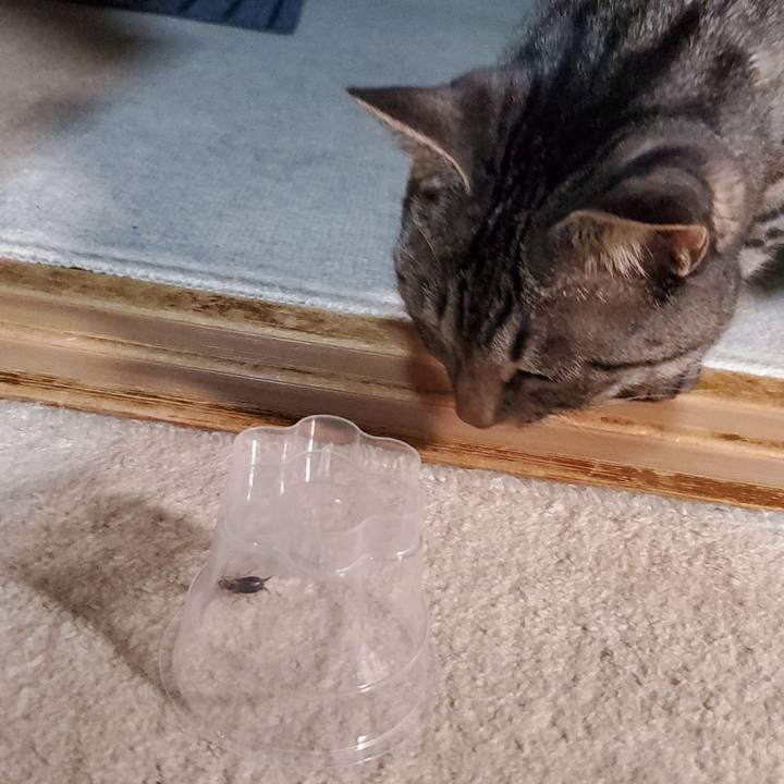 91bcba17 93ed 499e 8da3 b490c7ef7509 1720544451051