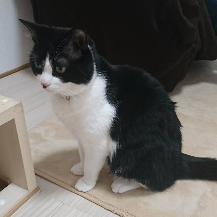 91bcbd06 e5b1 47be a992 9da59f6596e9 1525698783161