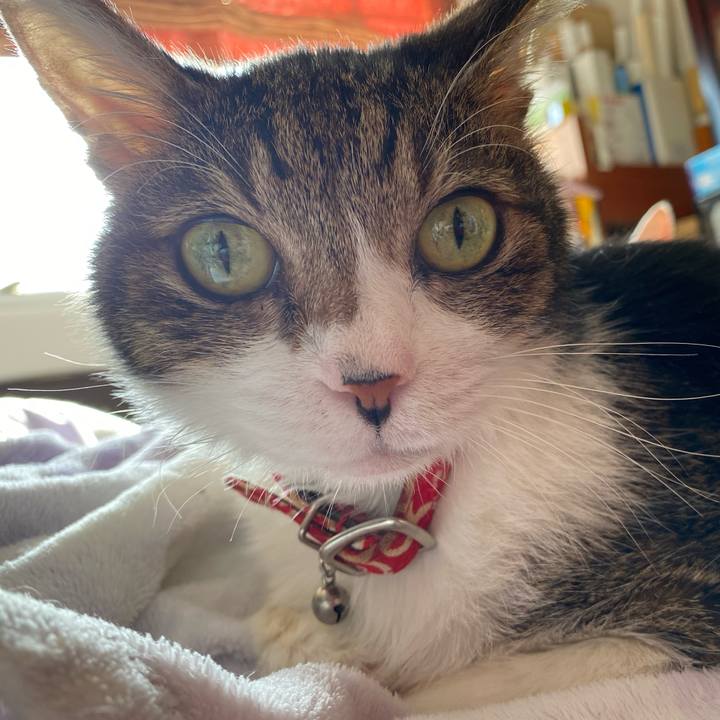 91bd349c e97d 4a81 b91f 8b8388ddf8c4 1604209097878