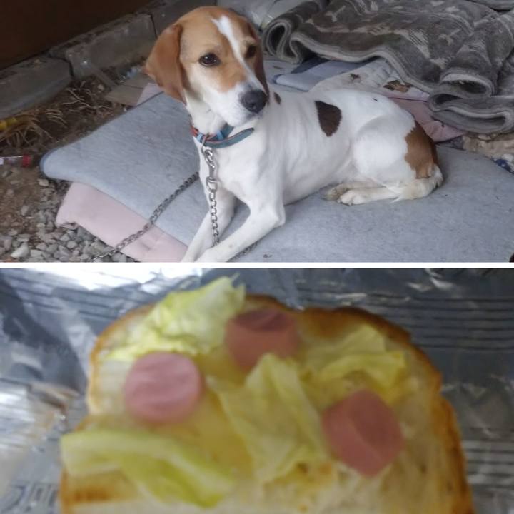 91bdaae6 f755 492c 9497 5f8852e51ff8 1612254949636