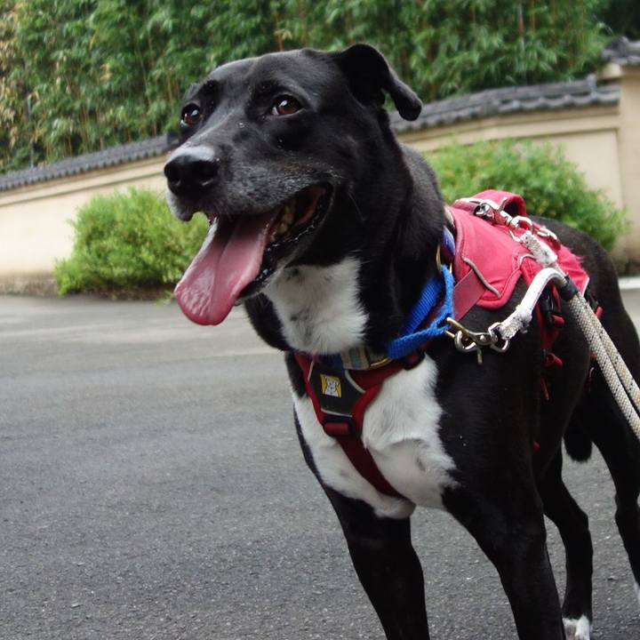 91bddbab 91ba 46b1 9058 954aa0a451b3 1661039075288