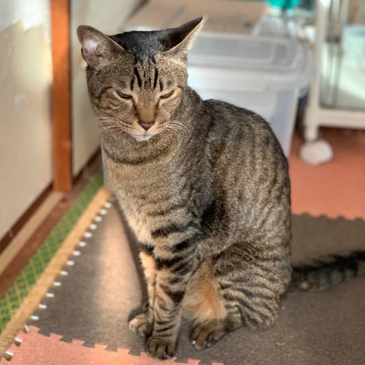 91bdddf4 c977 4246 a68b a7aa983866f5 1543365413920