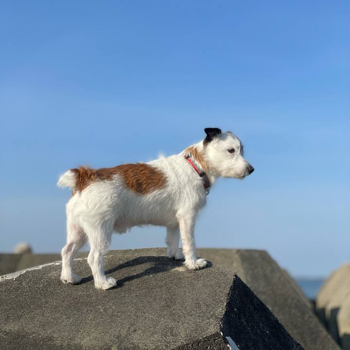 91be104b 5d67 48f9 9c8e e1f604fcba7c 1618180587004