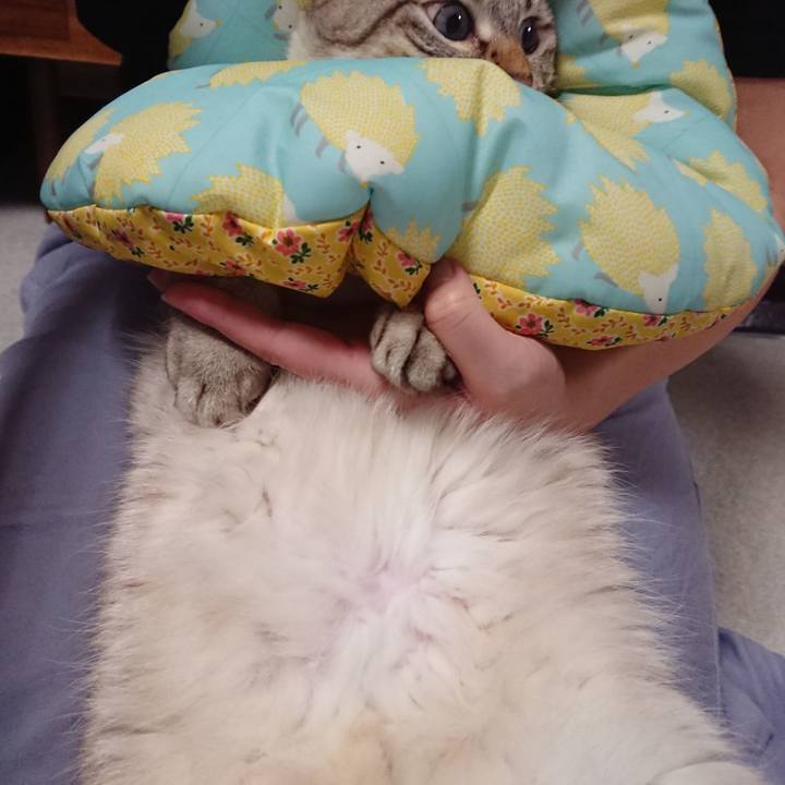 91be357b 7c5e 4e5a 8ce9 10db42d657d0 1565005264381