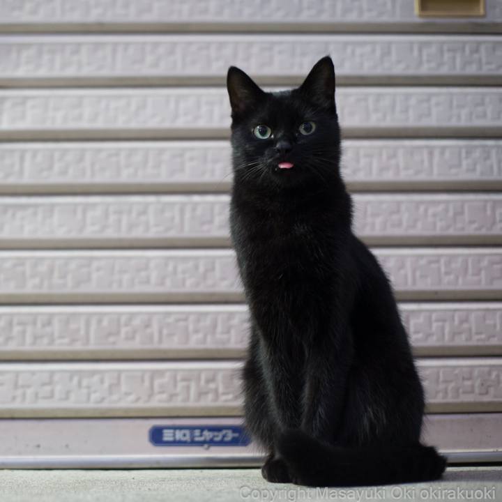 91be7aad e9f6 49a9 8be8 dc8c15accabc 1507949983372