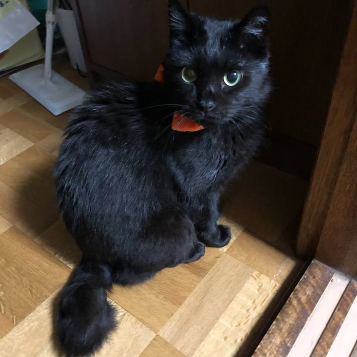 91bebb9f e364 4342 bf82 7b3927223660 1601478885175