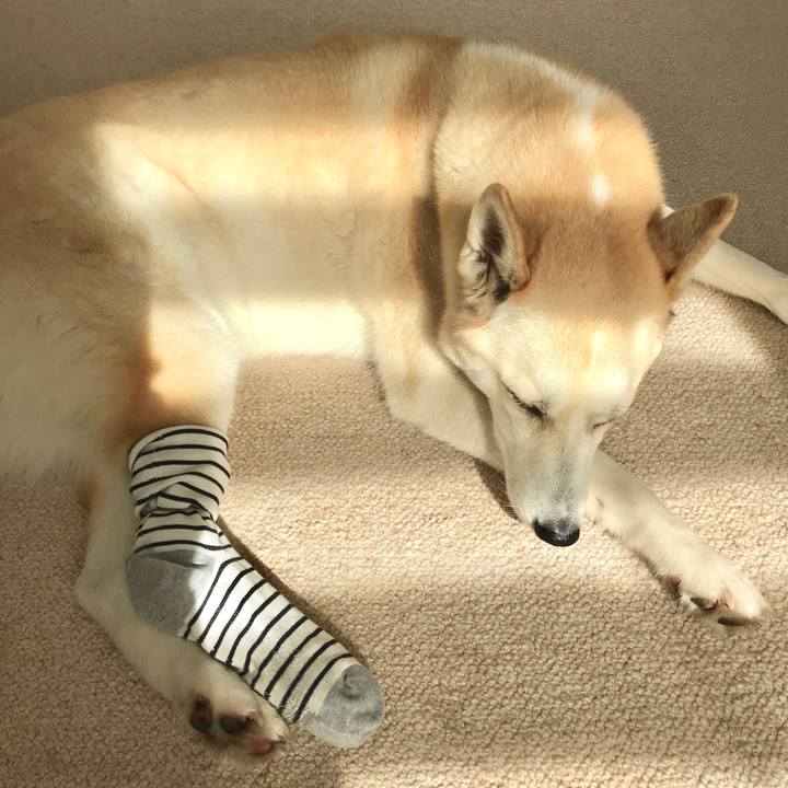 91becca9 c767 4b5b b7de c6cc8f7d305a 1518057159600