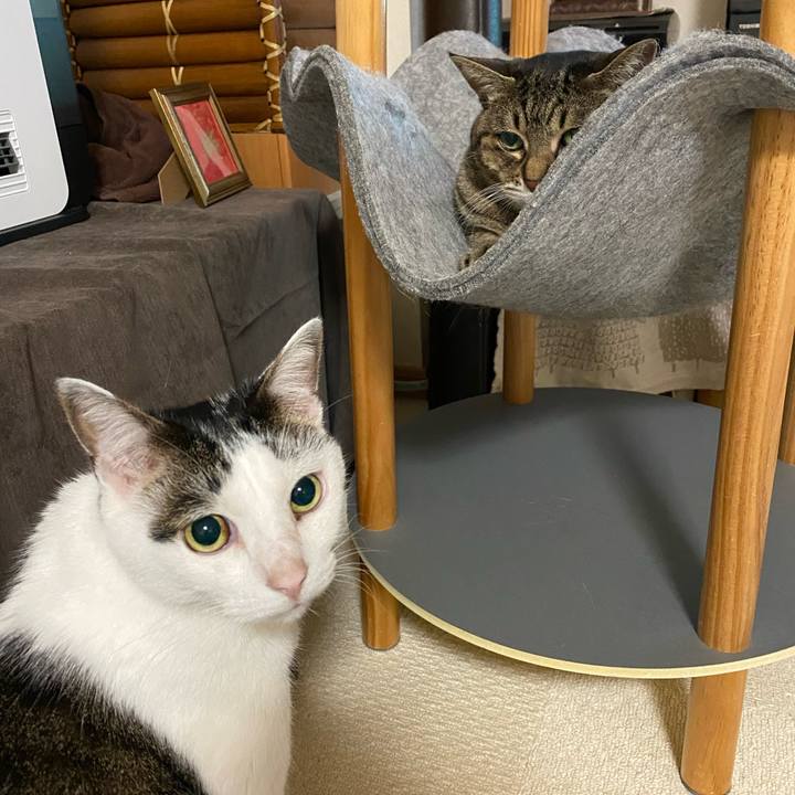 91beda2e 20f9 4220 9f23 83ef261f5ace 1766916041670