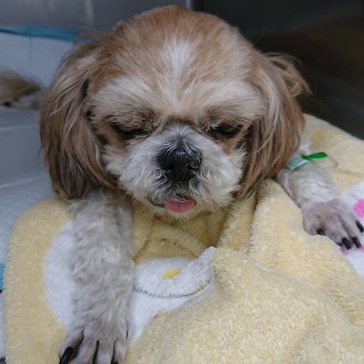 91bef721 902e 45b2 ad90 18490e3af9cb 1645365406153