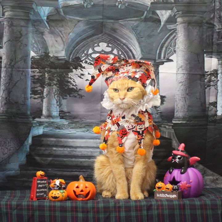 91bef871 4ccf 422d b118 ca8c837ee49c 1698400849502