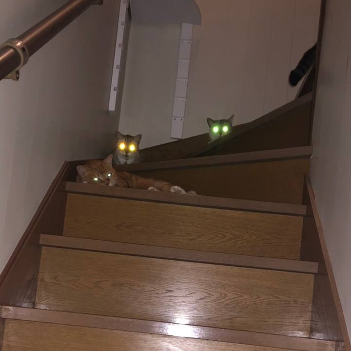 91bef97c 281e 45cd b644 cb8a3e4c6c5c 1570173844692