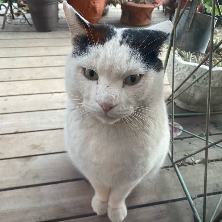 91befe1f 8fa6 4745 a2c4 9de8d795677b 1643615980874