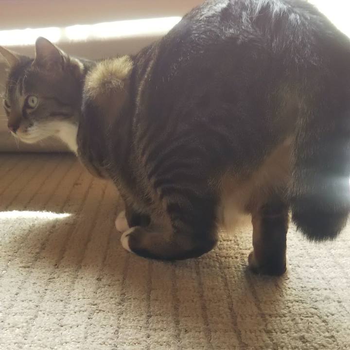 91bf0011 01b2 4092 86dc 45221b4796c1 1615430735820