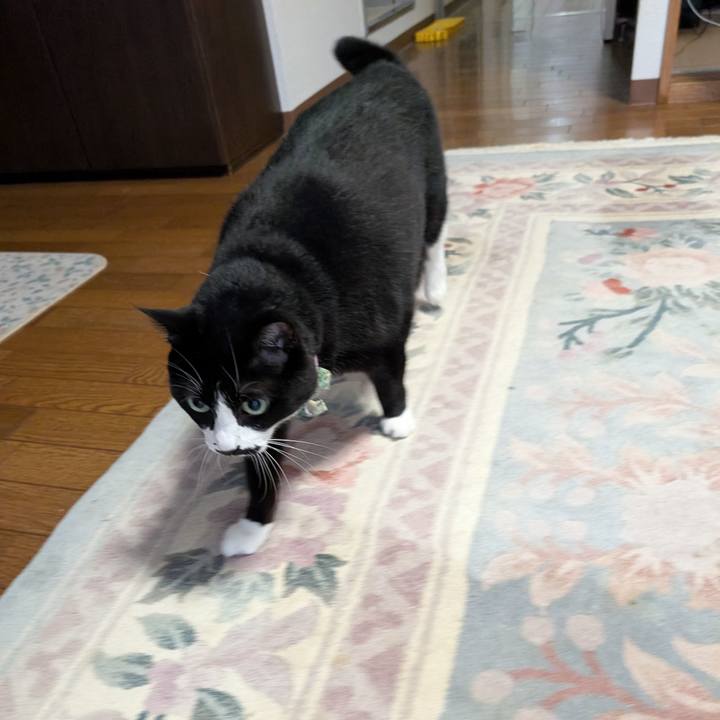 91bf1278 456b 4eae 873d ba436293e95e 1761432239493