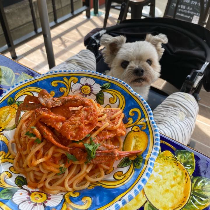 91bf1861 e341 48e9 b63d 77416934ca7a 1746953559123