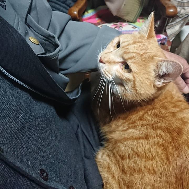 91bf970e 5df3 4e83 8226 181676a17724 1579644137881