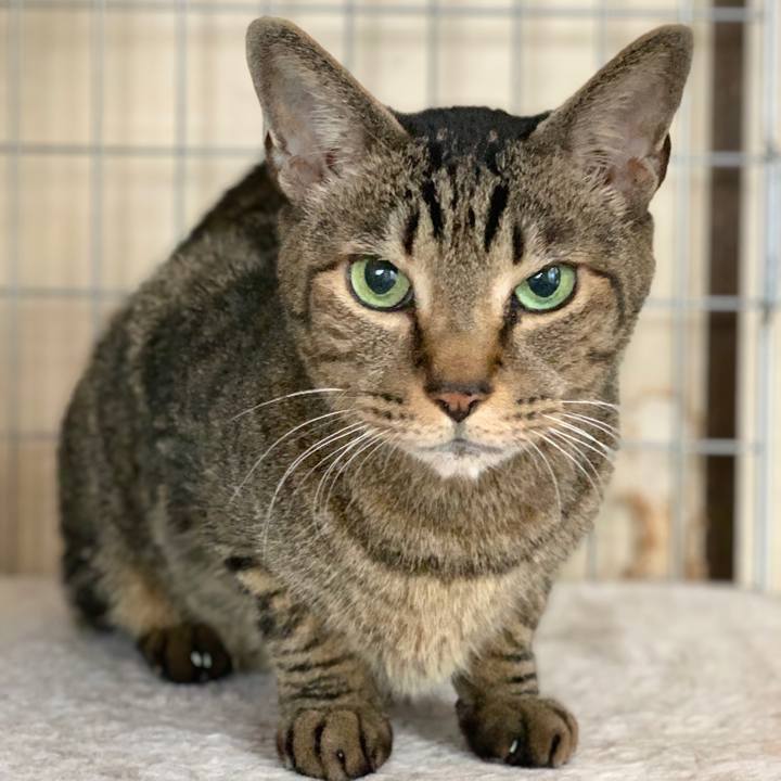 91bf9851 ed3d 449a 9606 756c8b735924 1550451709172