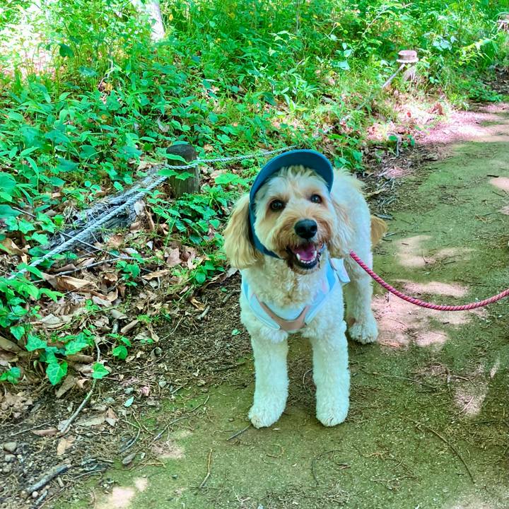 91bfc903 17ce 4523 b596 75fc441849ee 1763978863305