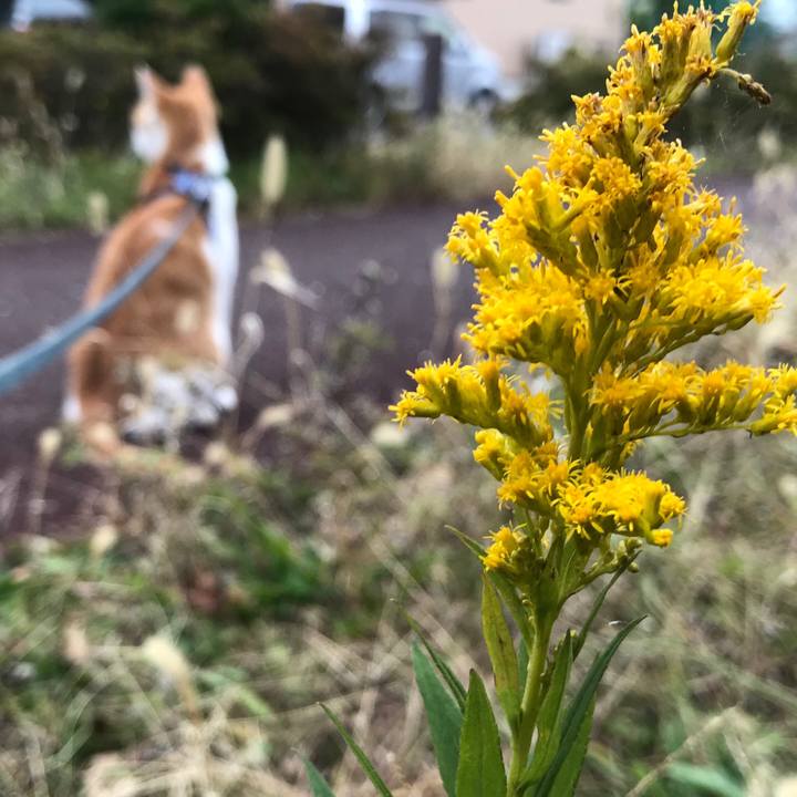 91bfce7f 29b4 471d a498 f266b879e07d 1510987827283