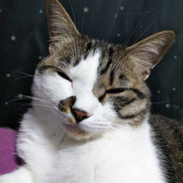 91bfd7d2 be04 4721 9eef b9306f4306e9 1649501841513