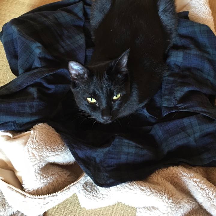 91bfe461 c697 47d3 af5d a2686cee4fbf 1509059571043