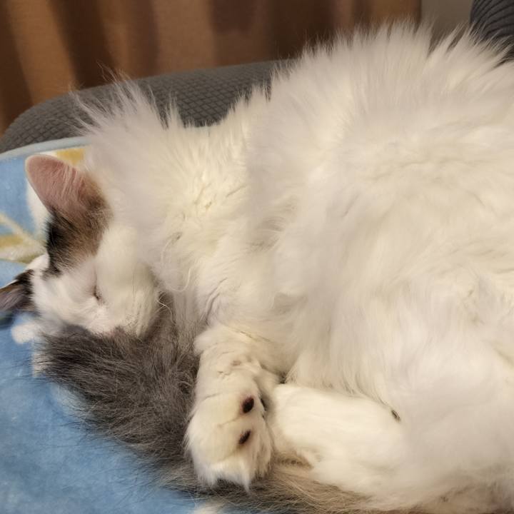 91bfe680 db93 4aac 88e2 ef965659b3b2 1764580378835