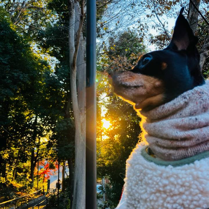 91bffbaf 9a00 43d0 a4a8 abac90a2fbf2 1735730335711