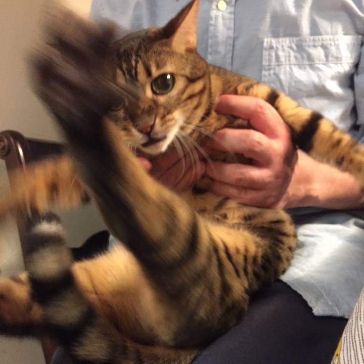 91c01a99 dd3f 478c bc2b eb29b8015f00 1509399683181