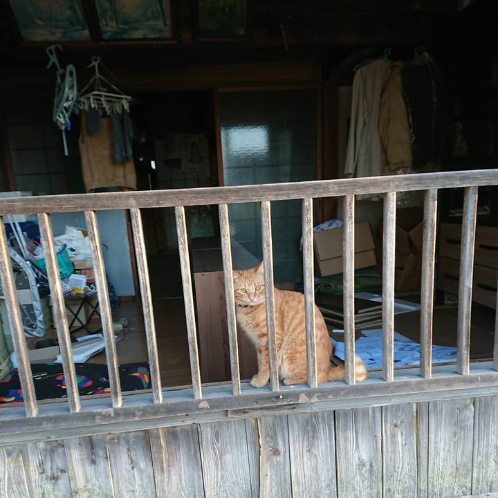 91c08915 7775 4a68 8885 c442feabc31c 1662420532500