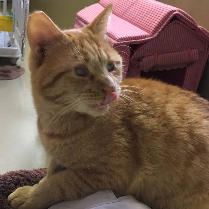 91c09506 2619 4a9f a053 f4e1c964e63a 1510563709160