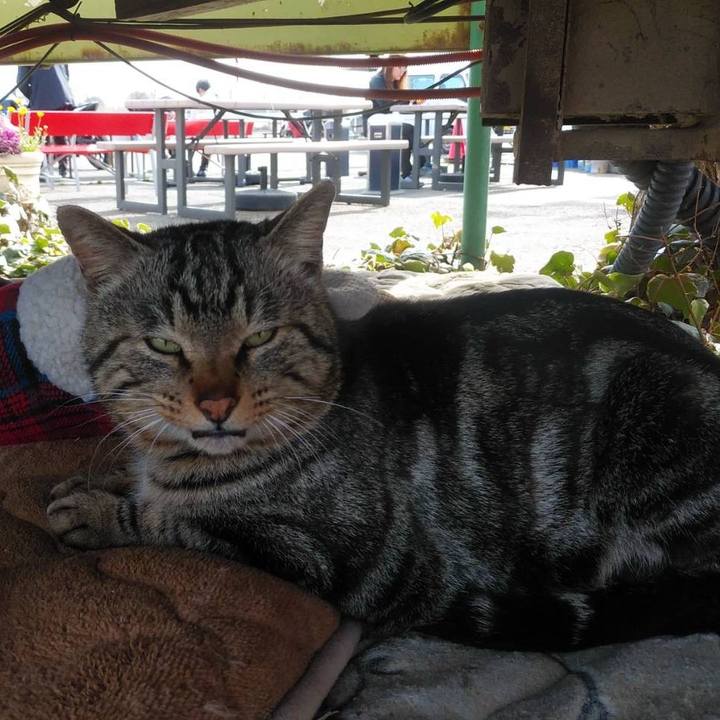 91c0c069 b626 4ac7 90a7 d97fe4be61b1 1616118622029