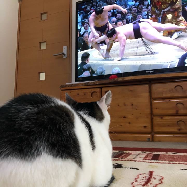 91c0c130 7351 4c63 9565 9bef95146e49 1710319271239