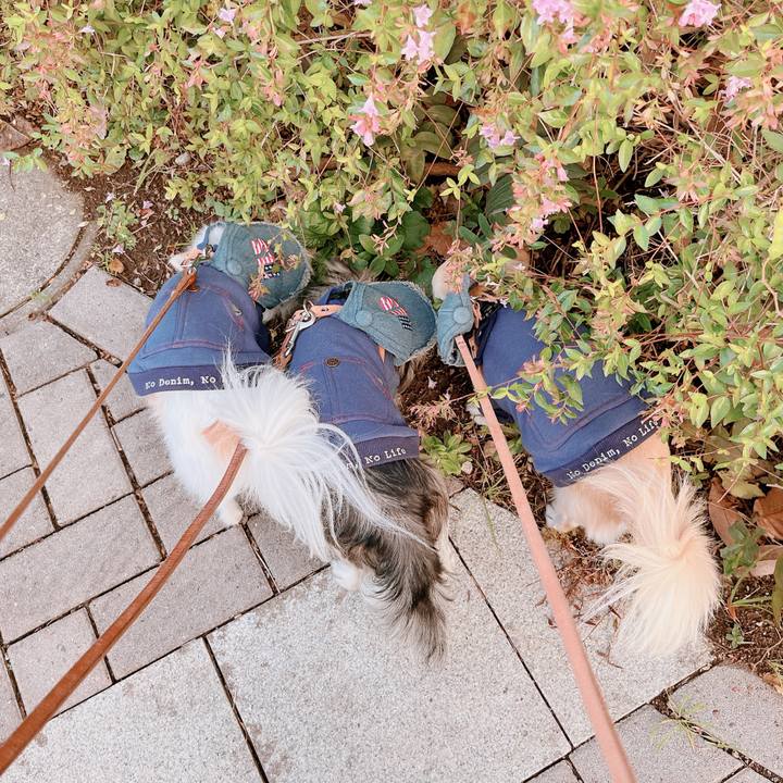 91c0ec26 dd7b 40e3 8532 520784f49ddd 1670665494517