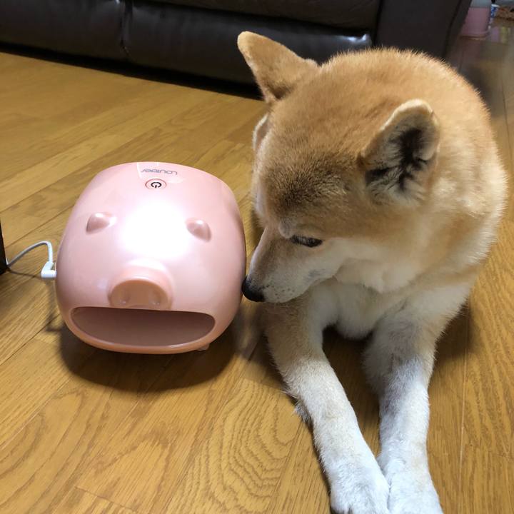 91c0f6ad a577 40be 95e8 e8681d3bc577 1559294796031