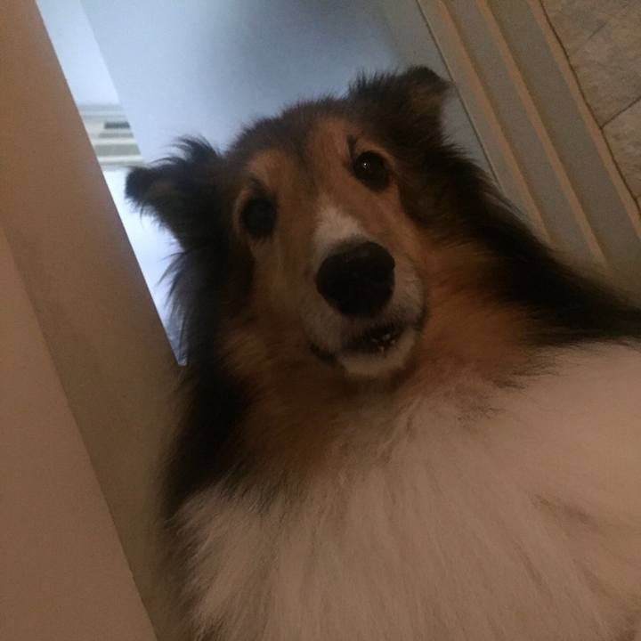 91c155d2 b4ee 4c7a 8967 1f7c21242703 1509535527237