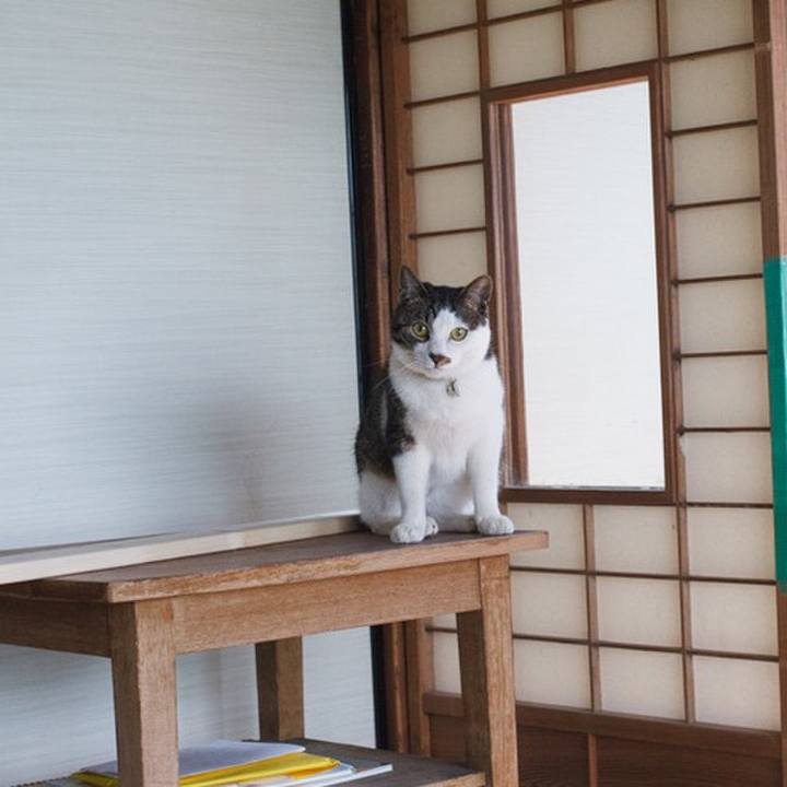 91c16cc8 0cf0 48aa 86d7 a8770f904134 1526712260322