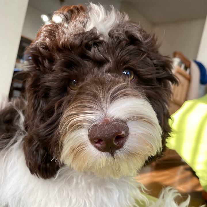 91c1b029 f061 4597 9950 5bc4ffdd22bd 1615446575722