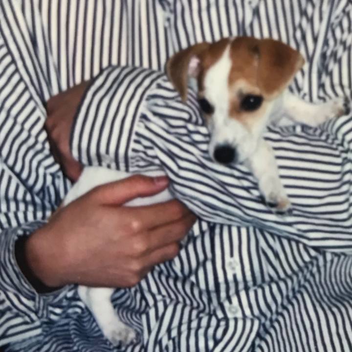 91c1de46 1411 4c61 8554 fdca79103b9f 1593769504571