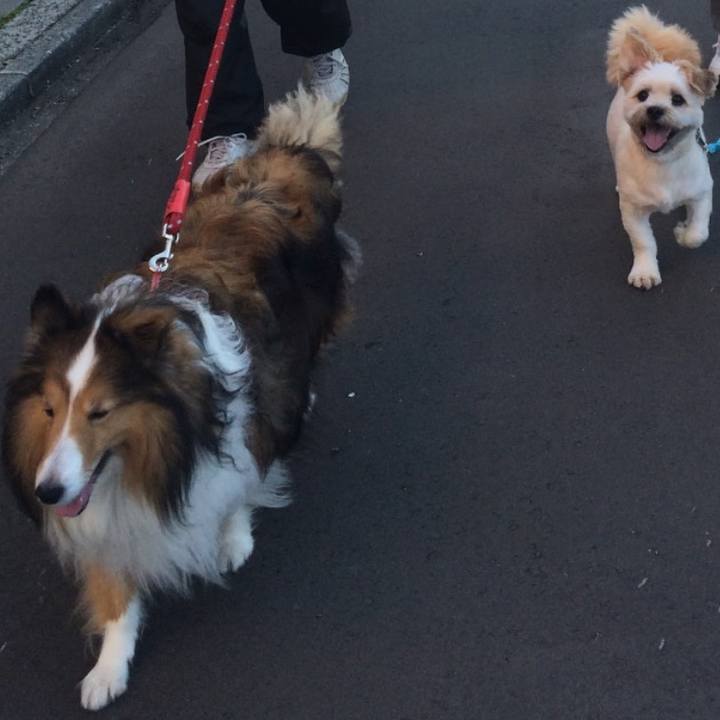 91c1fbe6 b89f 4743 9297 951f84be5fd8 1761811669148